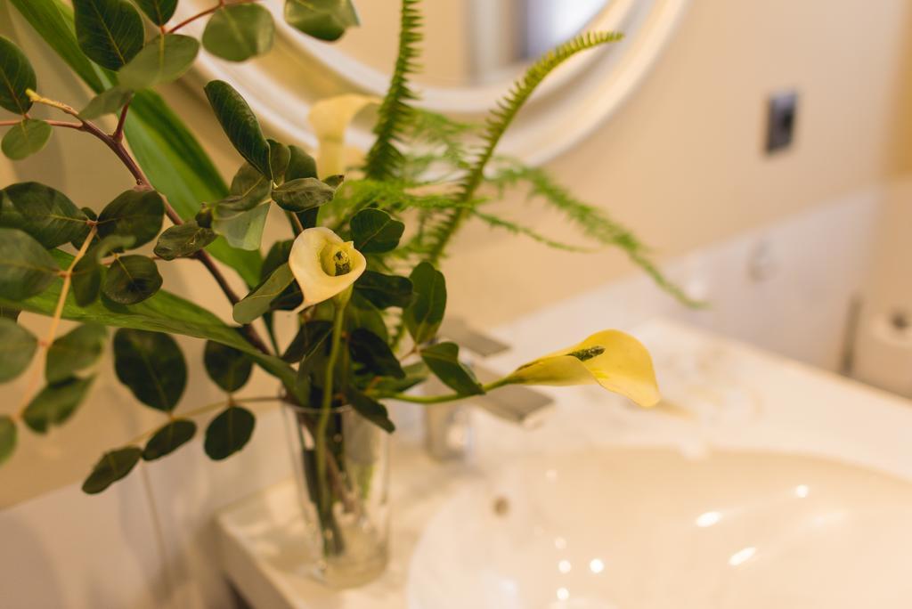 Ab Apartamentos Trinidad Málaga Oda fotoğraf